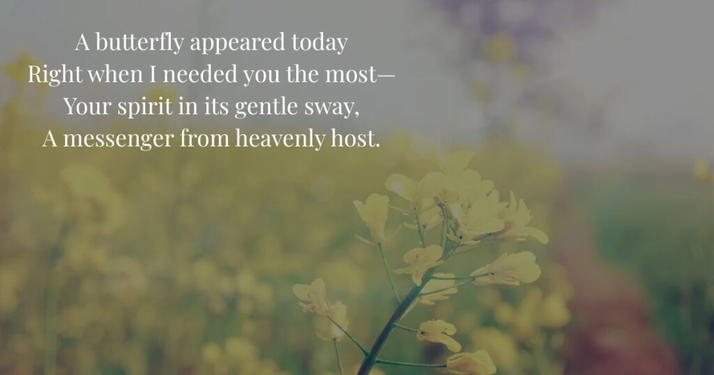 mothers-love-poem-after-death-butterfly-visits