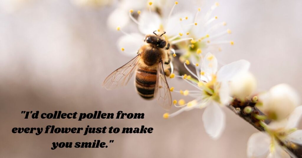 adorable-bee-pickup-lines