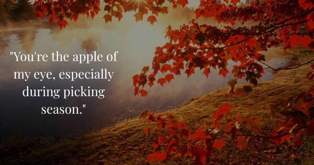 apple-picking-and-orchard-autumn-pick-up-lines