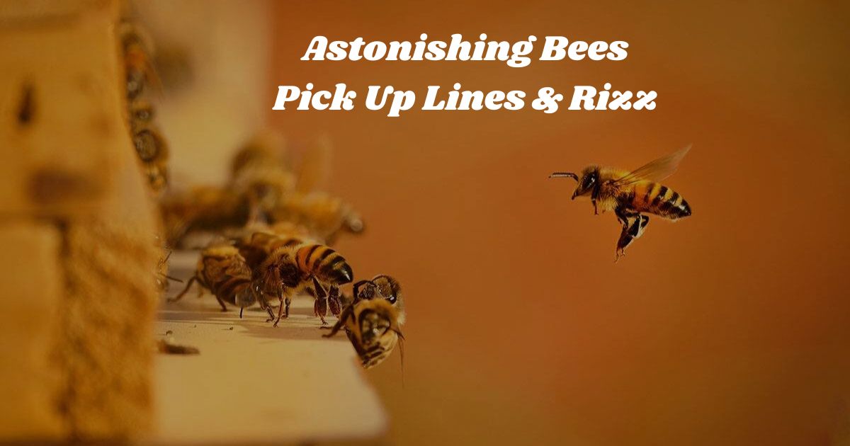 astonishing-bees-pick-up-lines-and-rizz