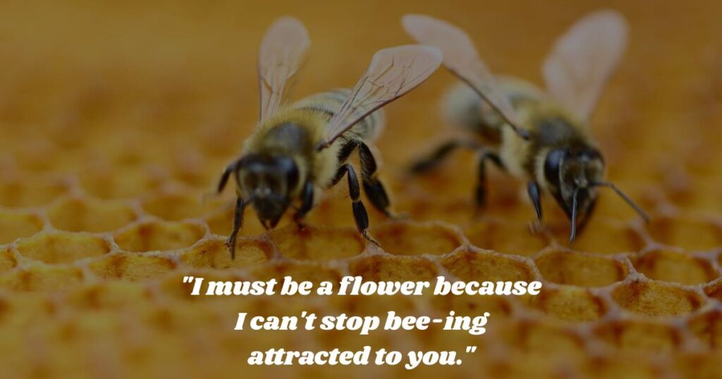 classic-bee-pick-up-lines