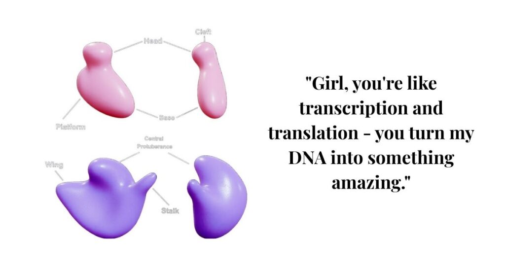 clever-ribosome-pick-up-lines