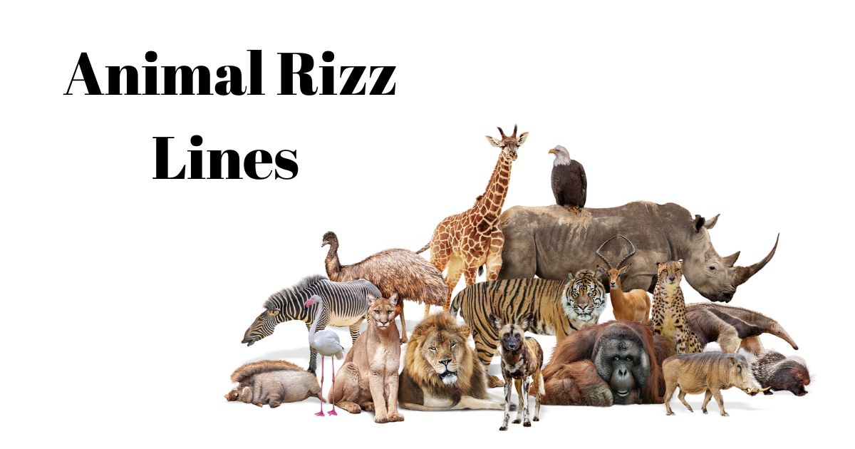 animal-rizz-lines